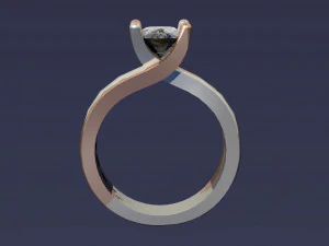 2 tone ring 3D Print Model