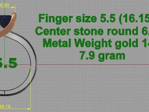 2 tone ring 3D Print Model