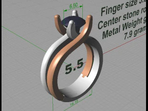 2 tone ring 3D Print Model