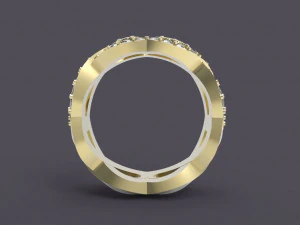 band 3D Print Model