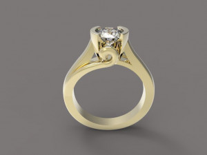 ring Modello di stampa 3D