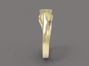 ring 3D Print Model