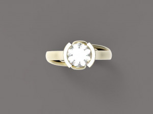 ring Modello di stampa 3D