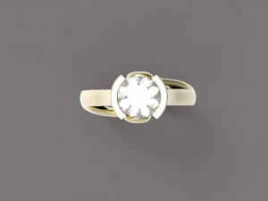 ring 3D Print Model