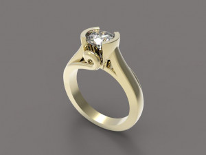 ring Modello di stampa 3D