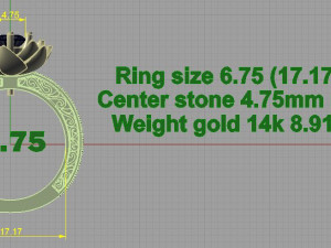ring 3Dプリントモデル