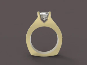 ring 3D Print Model