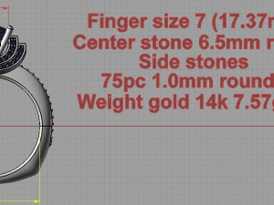 ring Modello di stampa 3D