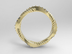 band 3D Print Model