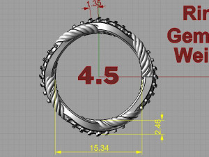 band 3D Print Model