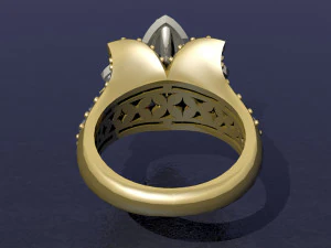 ring 3D Print Model