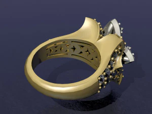 ring 3D Print Model