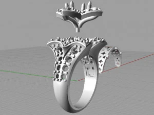 ring 3D Print Model