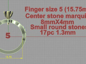 ring 3D Print Model