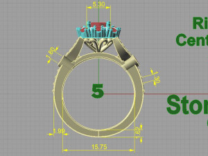 ring 3D Baskı Modeli