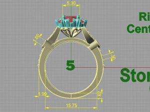 ring 3D Print Model