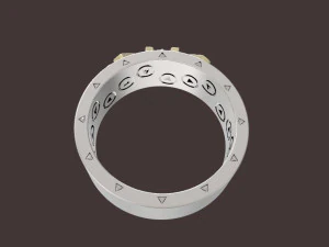 ring 3D Print Model
