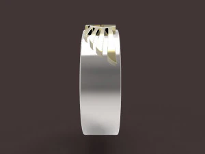 ring 3D Print Model
