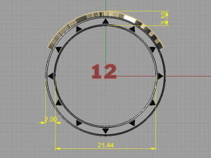 ring 3D 打印模型