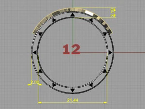 ring 3D Print Model