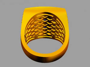 ring 3D Print Model