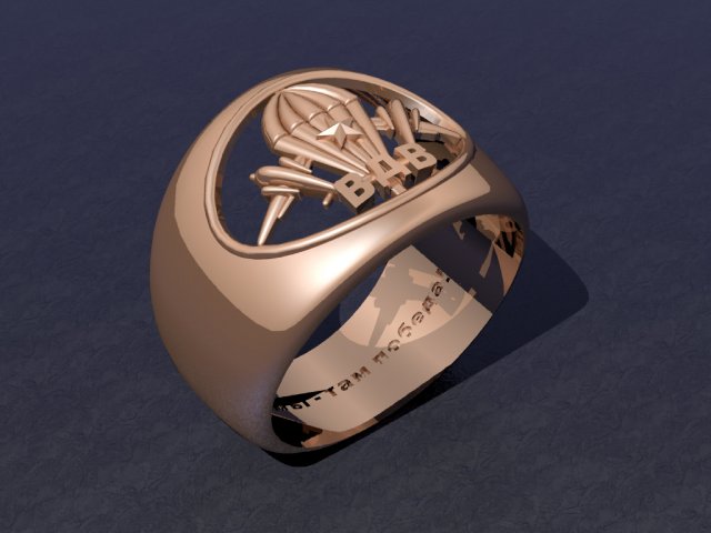 ring 3D Baskı Modeli .c4d .max .obj .3ds .fbx .stl .blend 