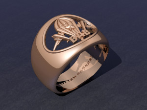ring 3D Print Model