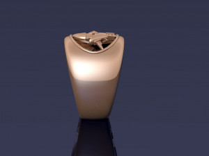 ring 3D Baskı Modeli