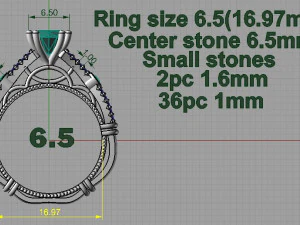 ring 3D Print Model