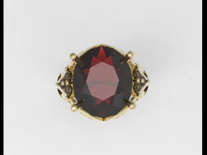 ring 3D Print Model
