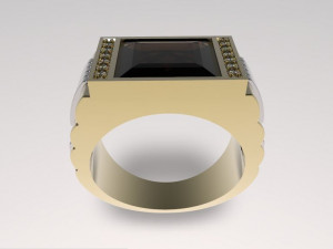 ring 3D 打印模型