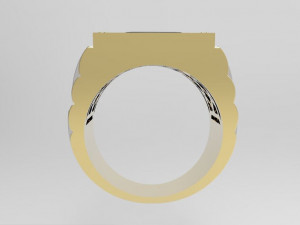 ring 3D 打印模型