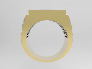 ring 3D Print Model