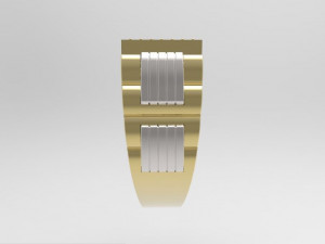 ring 3D 打印模型