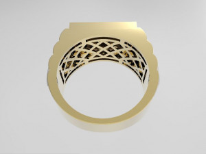 ring 3D 打印模型
