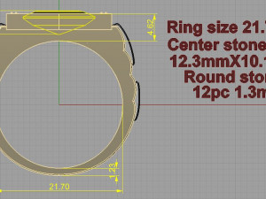 ring 3D 打印模型