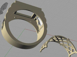 ring 3D Print Model