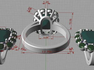 ring and earrings 3D Print Model