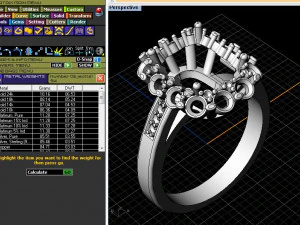 ring and earrings 3D Print Model