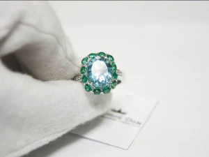 ring and earrings 3D Print Model