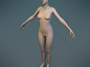 female body character basemesh 3D Model