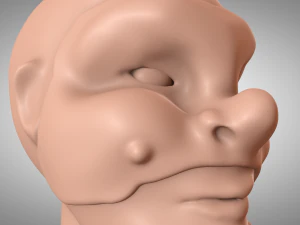 brighella head puppet 3D Print Model