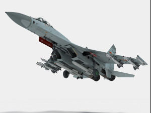 shenyang j-11 3D Model