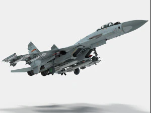 shenyang j-11 3D Model