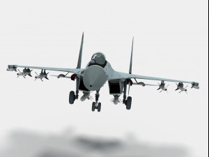 shenyang j-11 3D Model