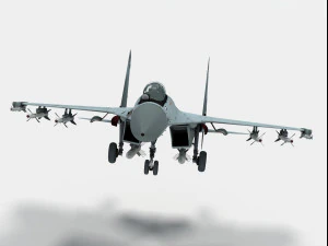 shenyang j-11 3D Model