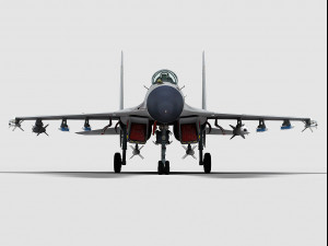 shenyang j-15 flying shark Modello 3D