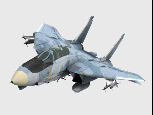 Grumman F-14 Tomcat Modelo 3D