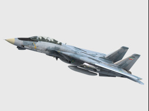 grumman f-14 tomcat 3D Model