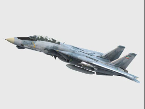 Grumman F-14 Tomcat Modelo 3D